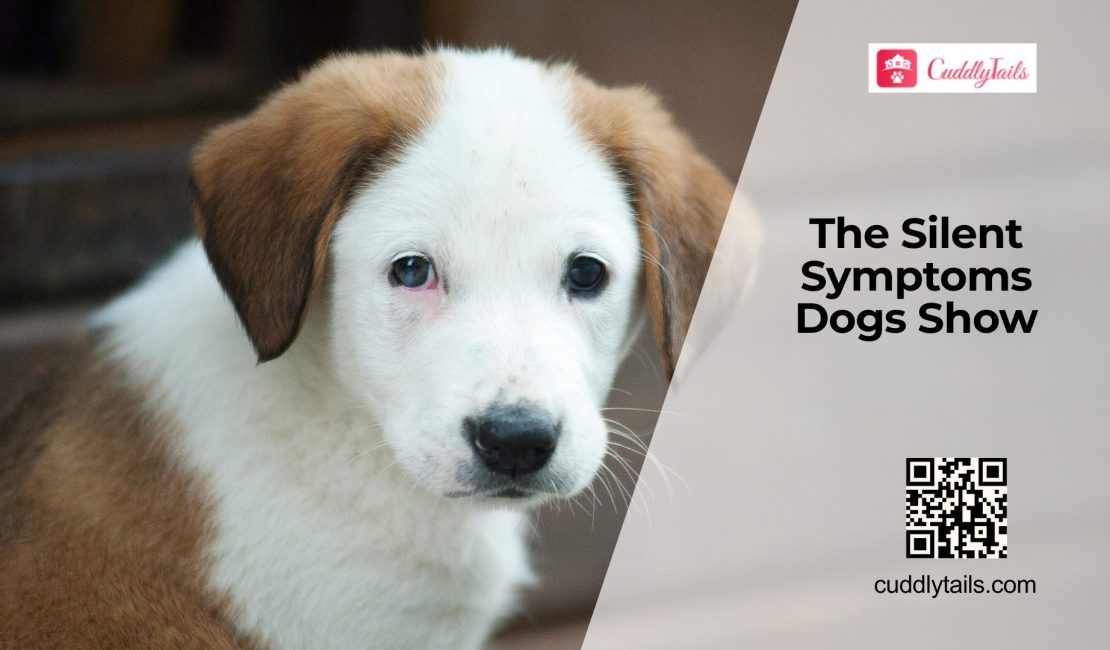 Silent Dog Symptoms Owners Often Miss