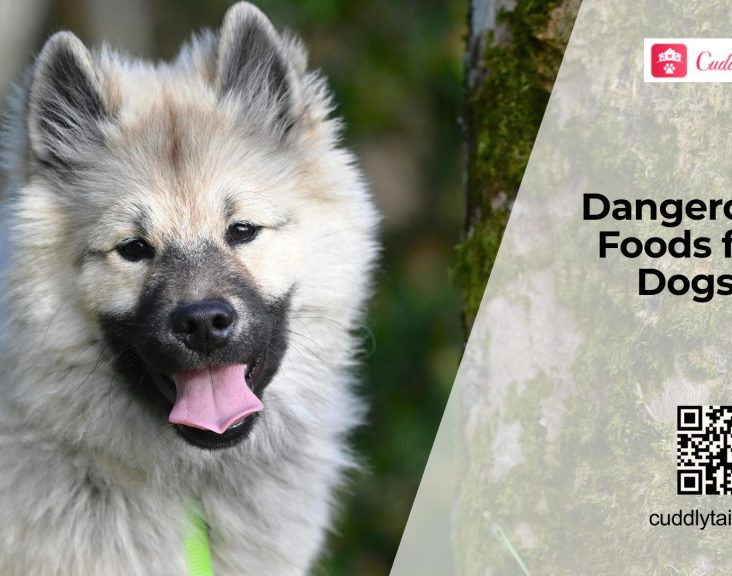 Foods Dogs Should Never Eat