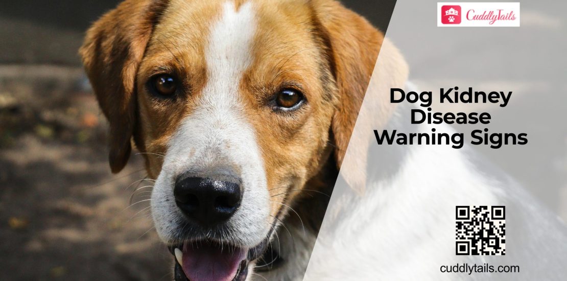 Dog Kidney Disease Warning Signs