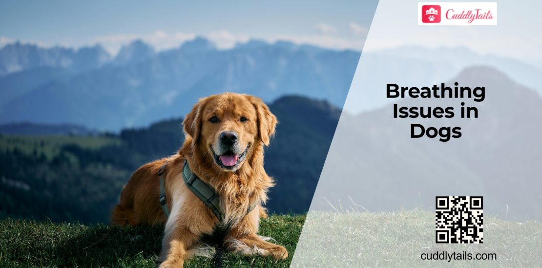 Dog Breathing Problems Explained