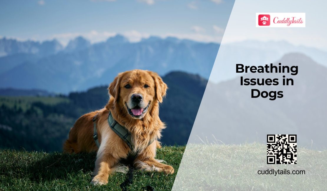 Dog Breathing Problems Explained