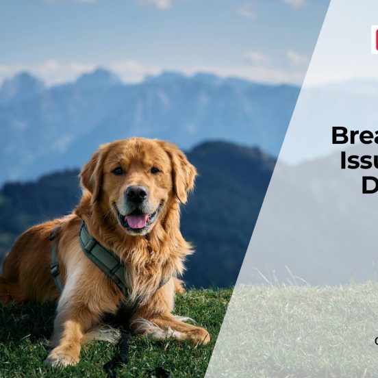 Dog Breathing Problems Explained