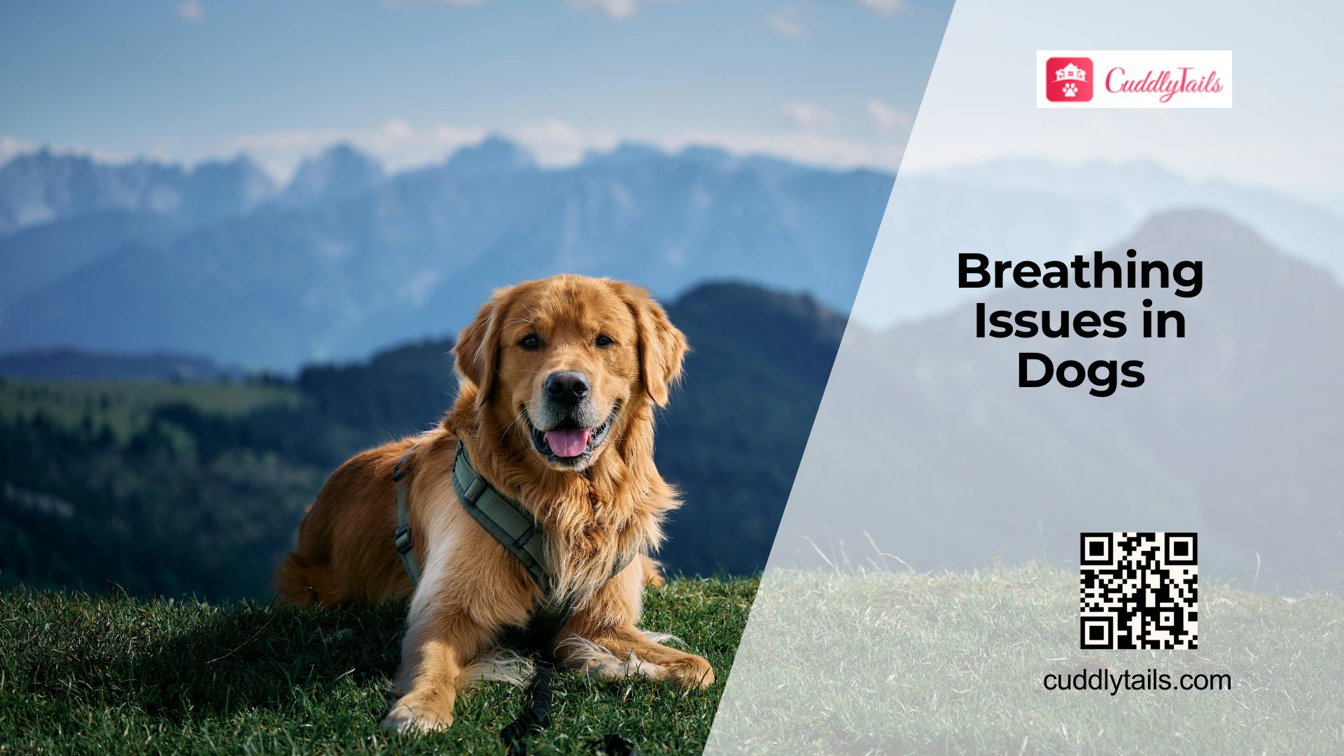 Dog Breathing Problems Explained