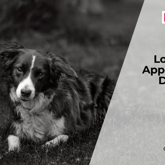 Why Dogs Lose Interest in Food