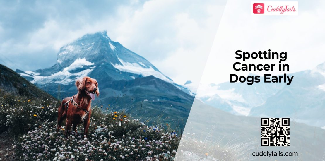 Early Signs of Dog Cancer