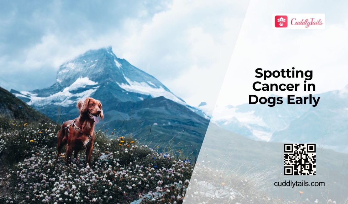 Early Signs of Dog Cancer