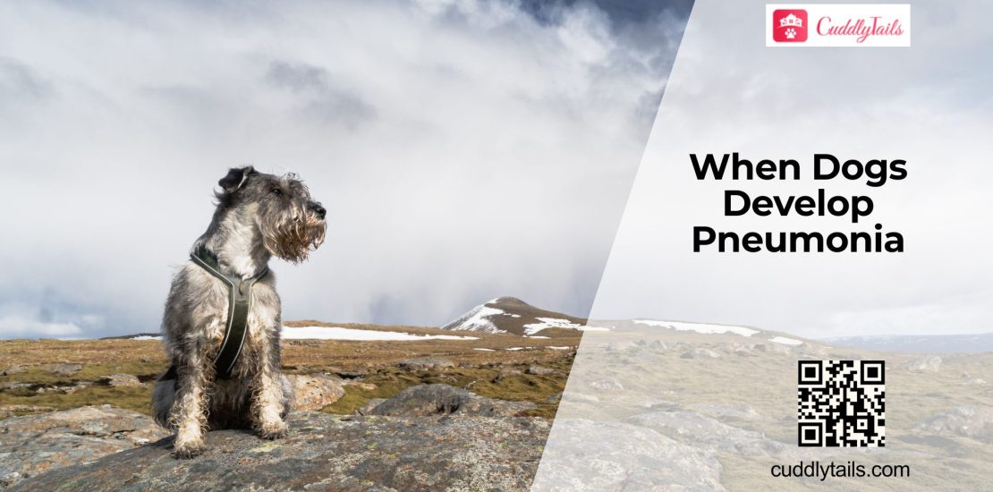 Signs Your Dog Has Pneumonia