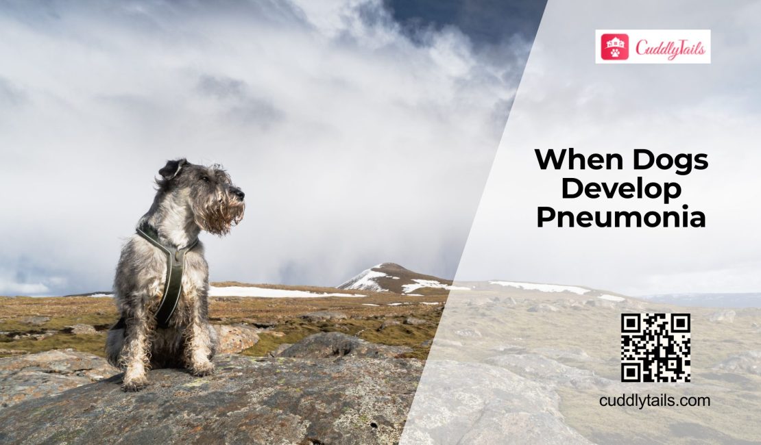 Signs Your Dog Has Pneumonia