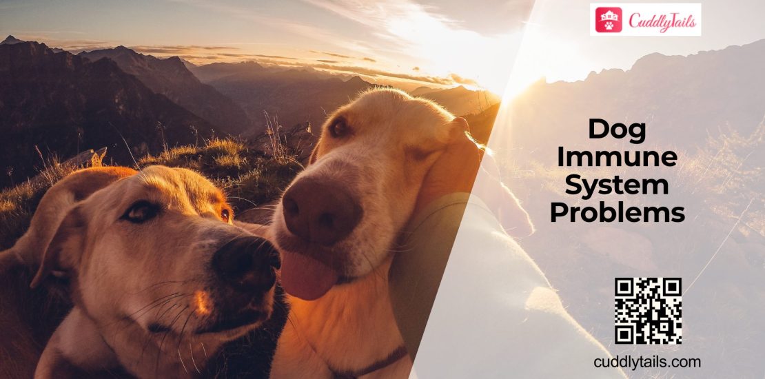 How a Weak Immune System Affects Dogs