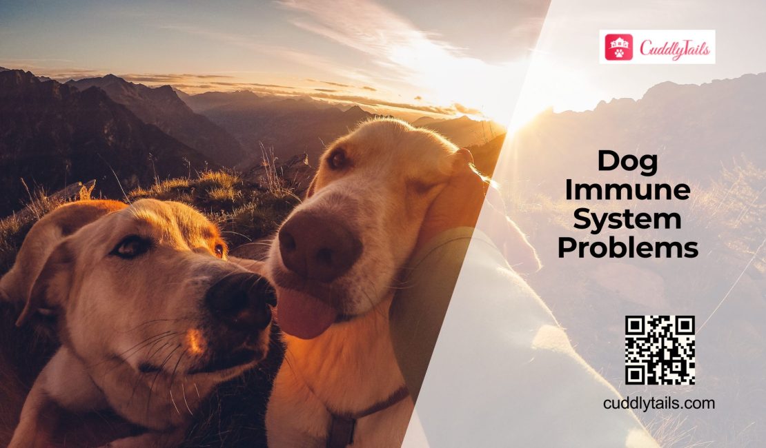 How a Weak Immune System Affects Dogs