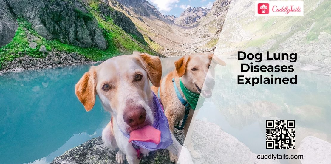 Common Respiratory Diseases in Dogs