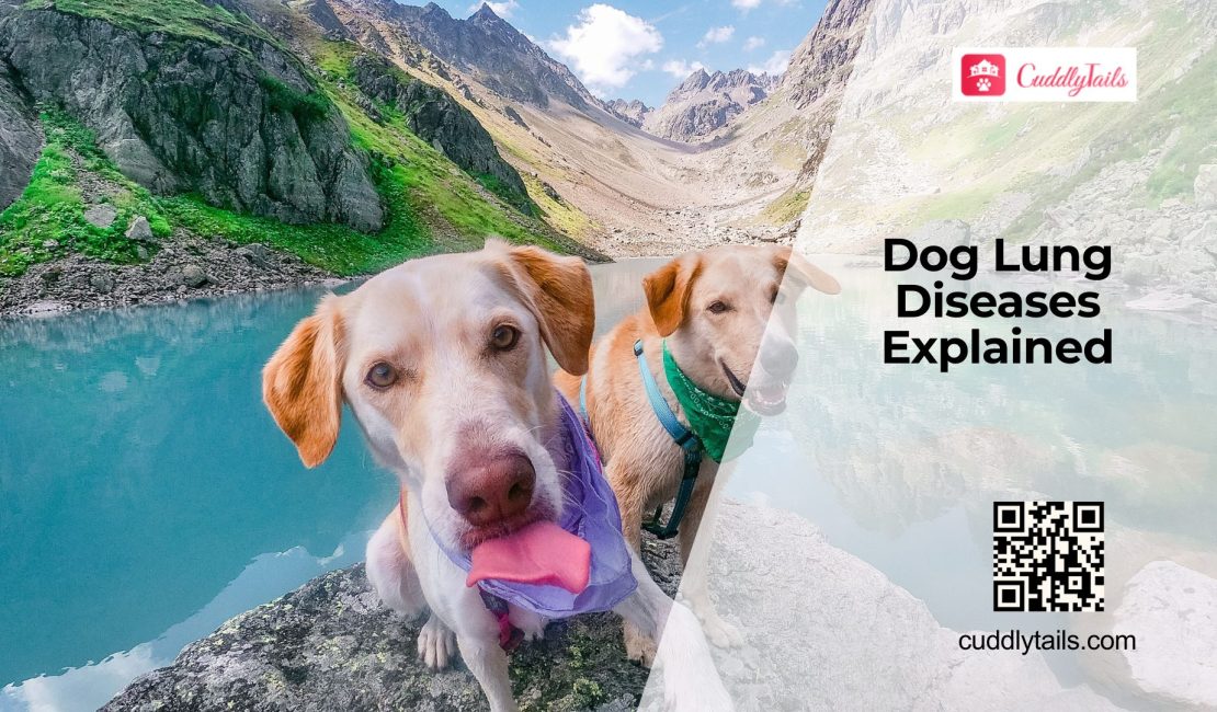 Common Respiratory Diseases in Dogs