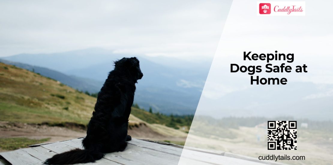 Household Toxins That Harm Dogs