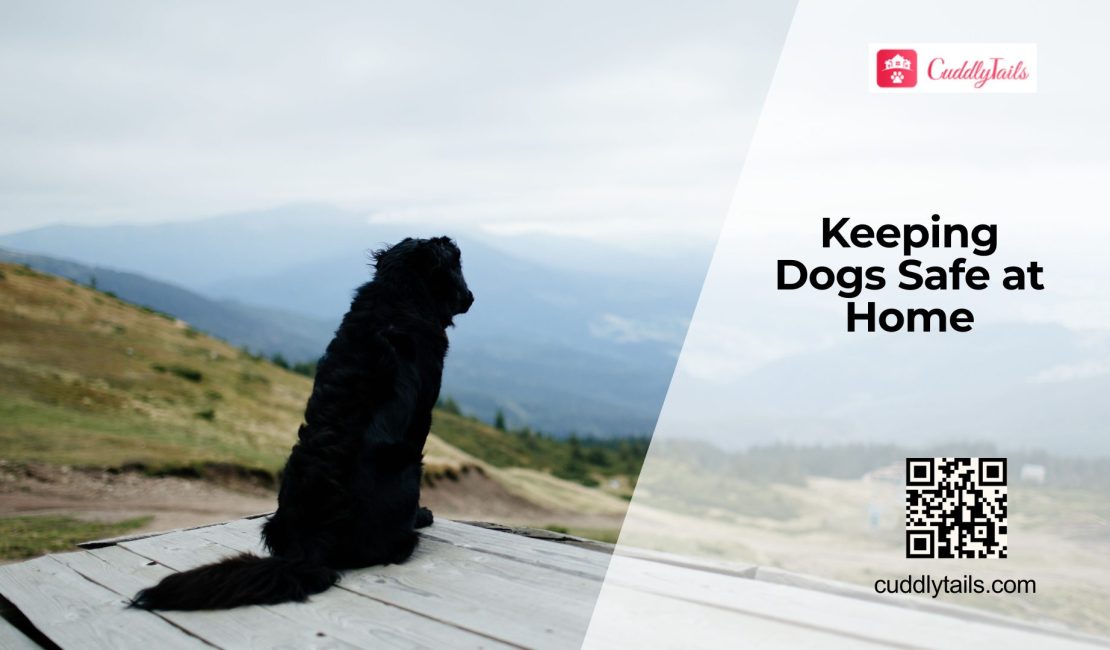 Household Toxins That Harm Dogs
