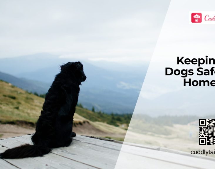 Household Toxins That Harm Dogs