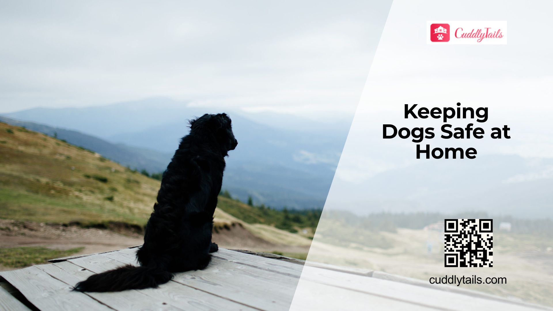 Household Toxins That Harm Dogs