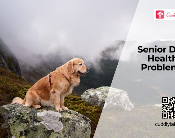 Diseases That Affect Senior Dogs Most