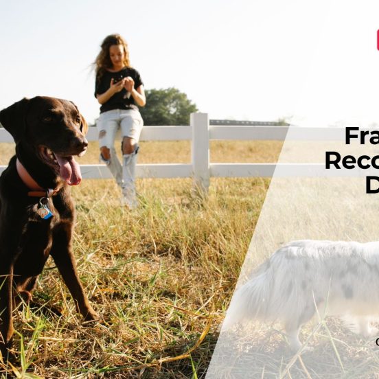 Bone Fractures in Dogs Recovery