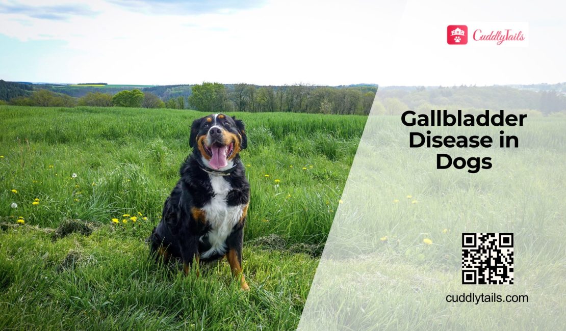 Signs of Gallbladder Disease in Dogs