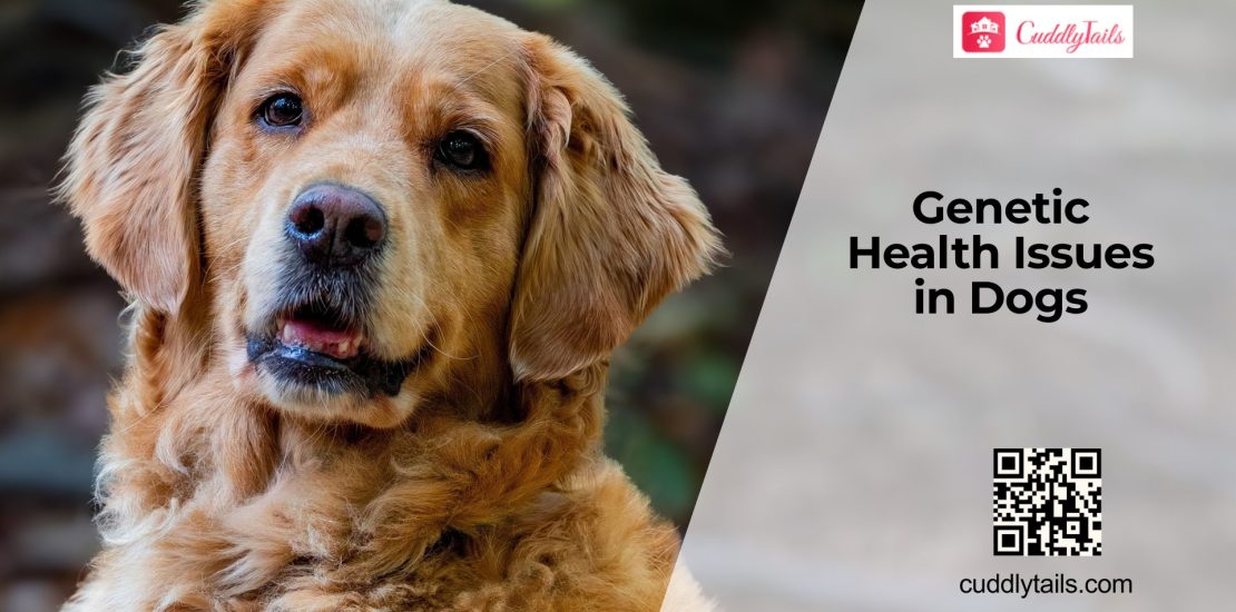 Common Hereditary Diseases in Dogs