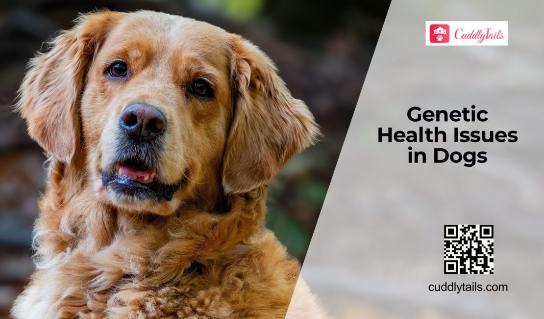 Common Hereditary Diseases in Dogs