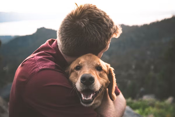 Cuddlytails Dog Walking Las Vegas