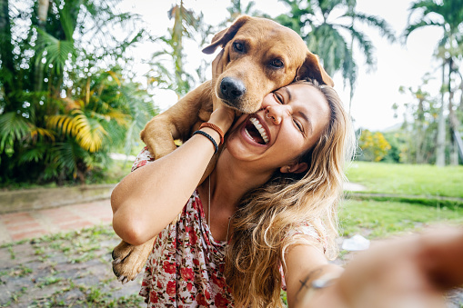 Doggy Day Care Plano Cuddlytails