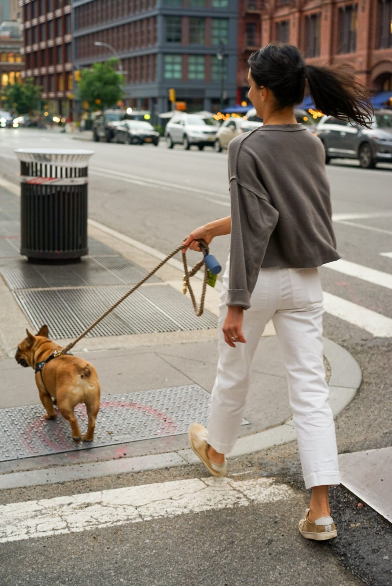 Dog Walking Job in Wilmington NC