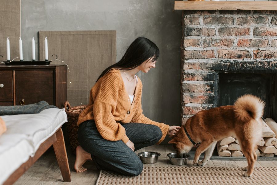 Dog Walker Job in Myrtle Beach, SC