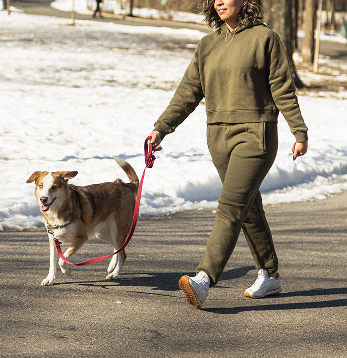 Dog Walker Job in Ridgeville, SC