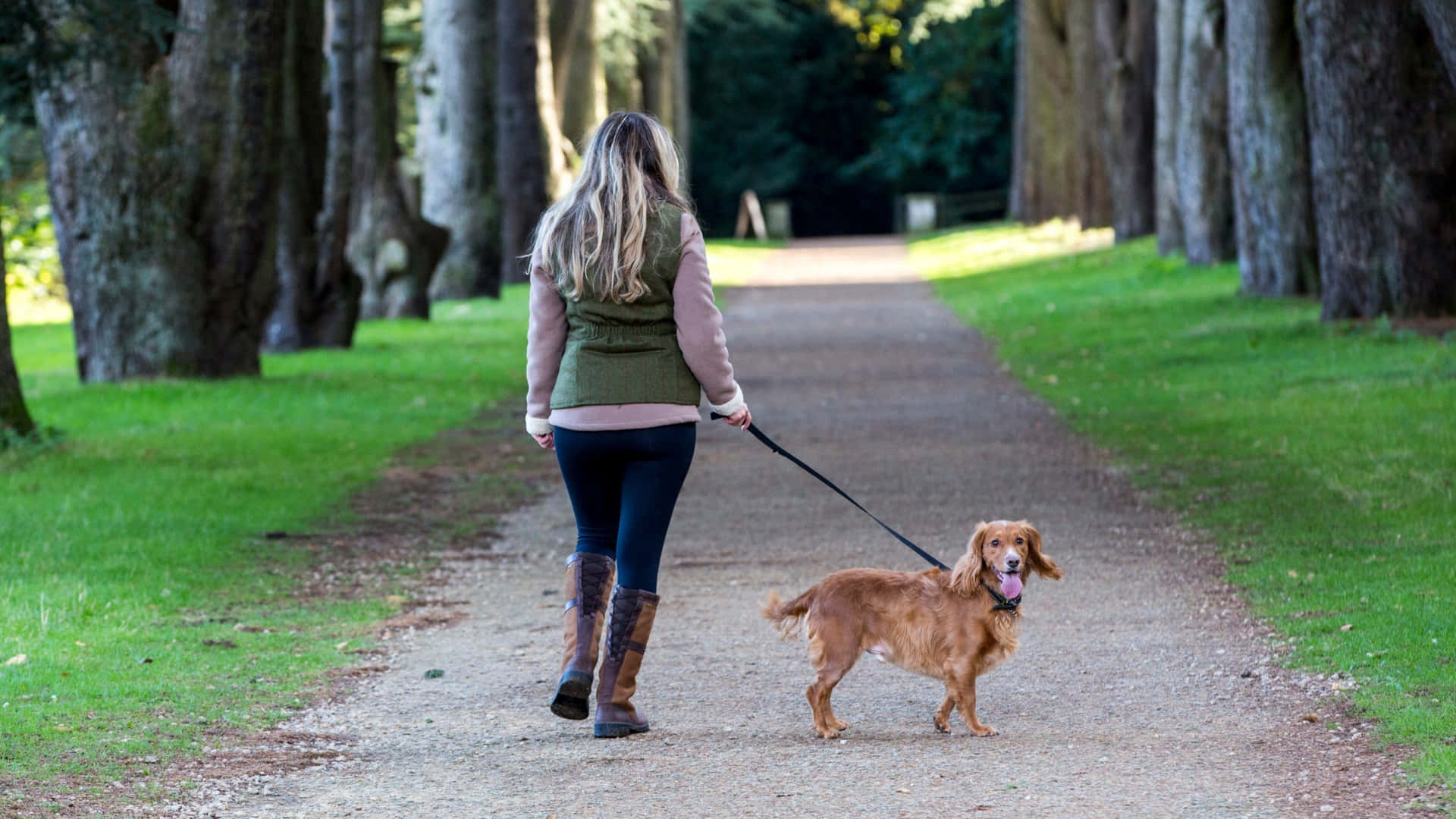 Dog Walker Job Salt Lake City, UT