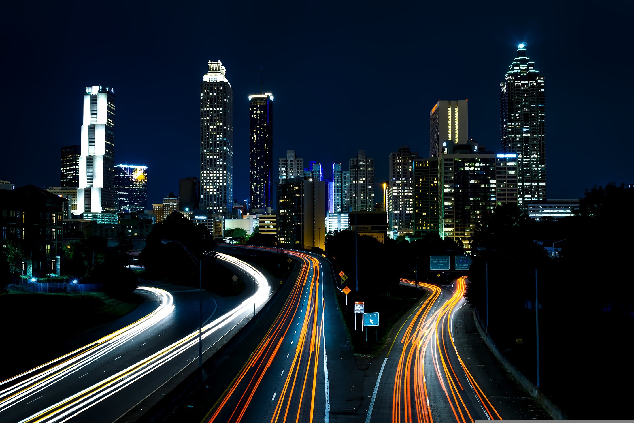 Online Vet Atlanta GA