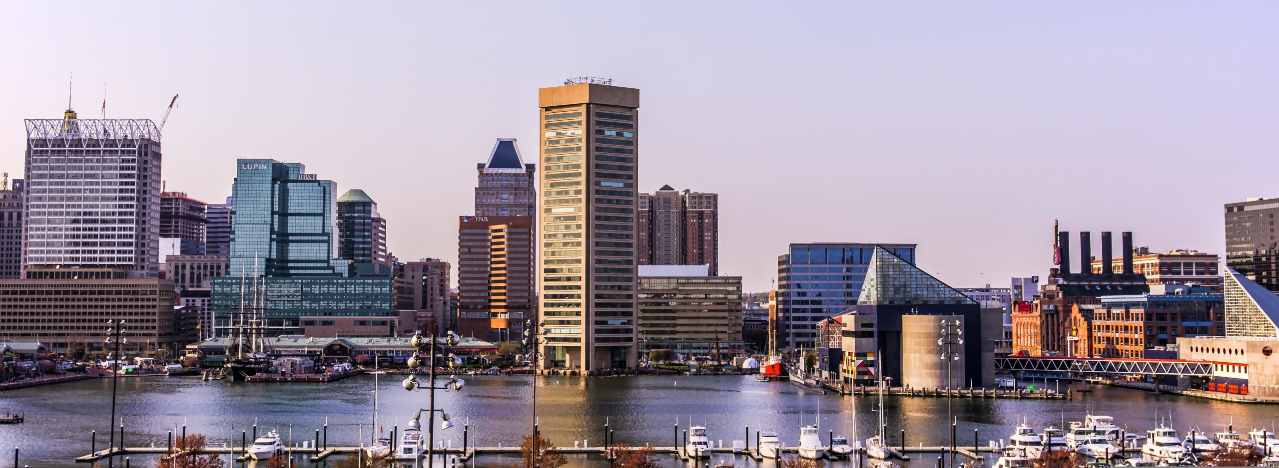 Best Vets Baltimore MD