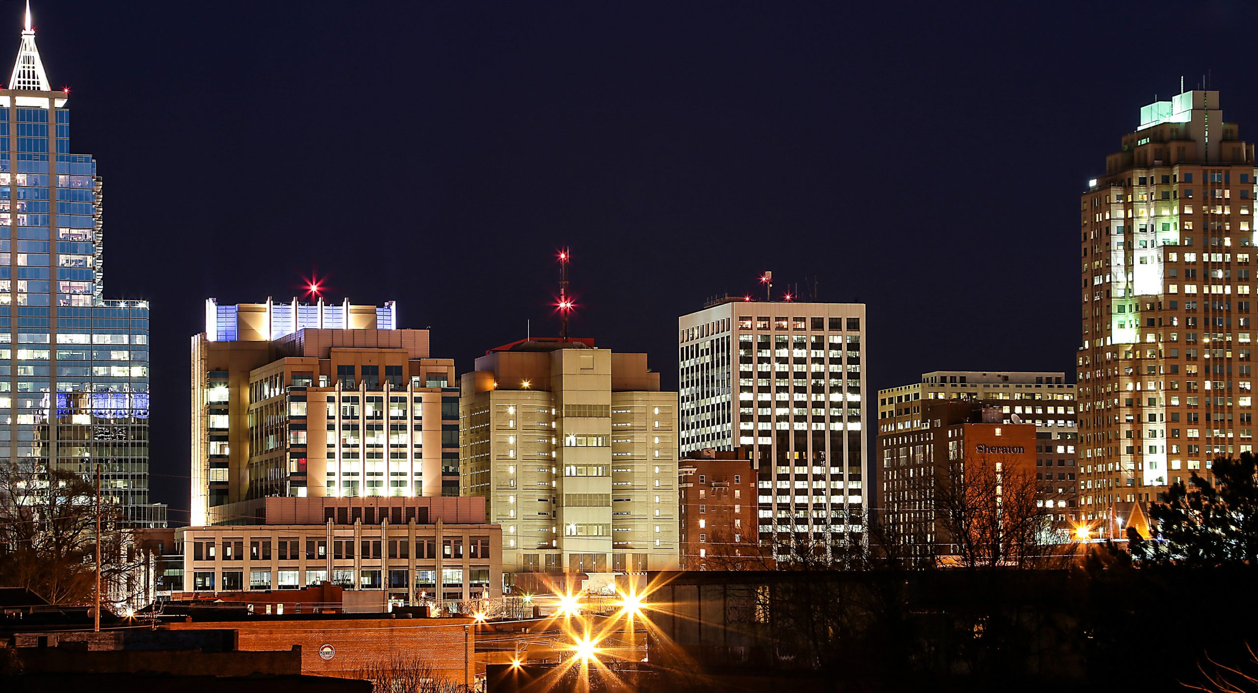 Best Vets Raleigh NC