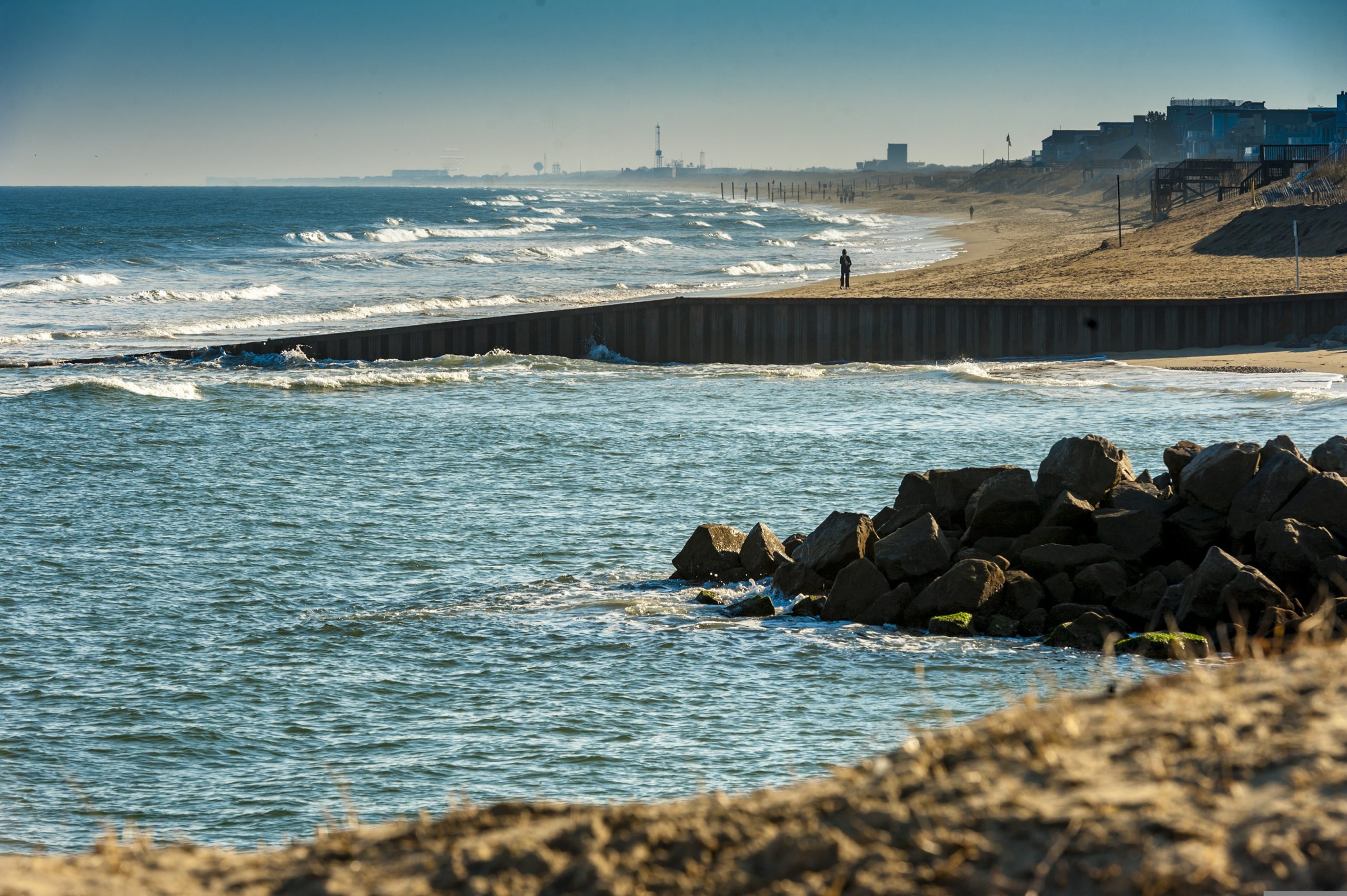 Vet Virginia Beach VA