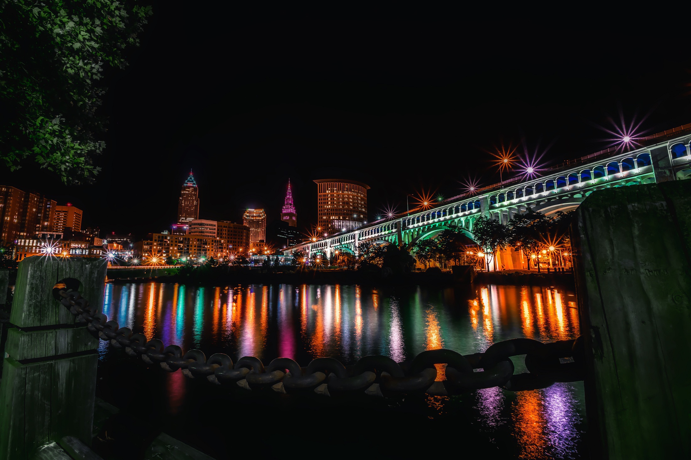 Online Vet Cleveland OH