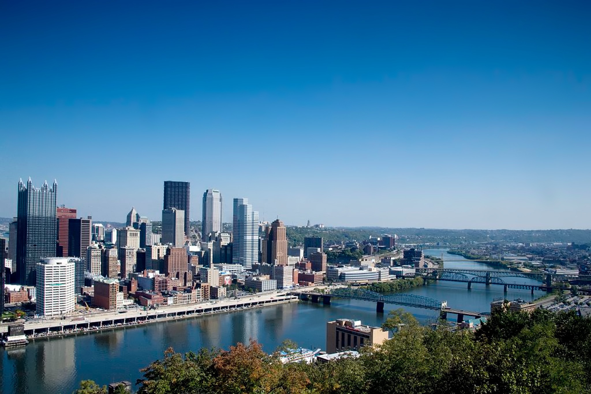 Online Vet Pittsburgh PA