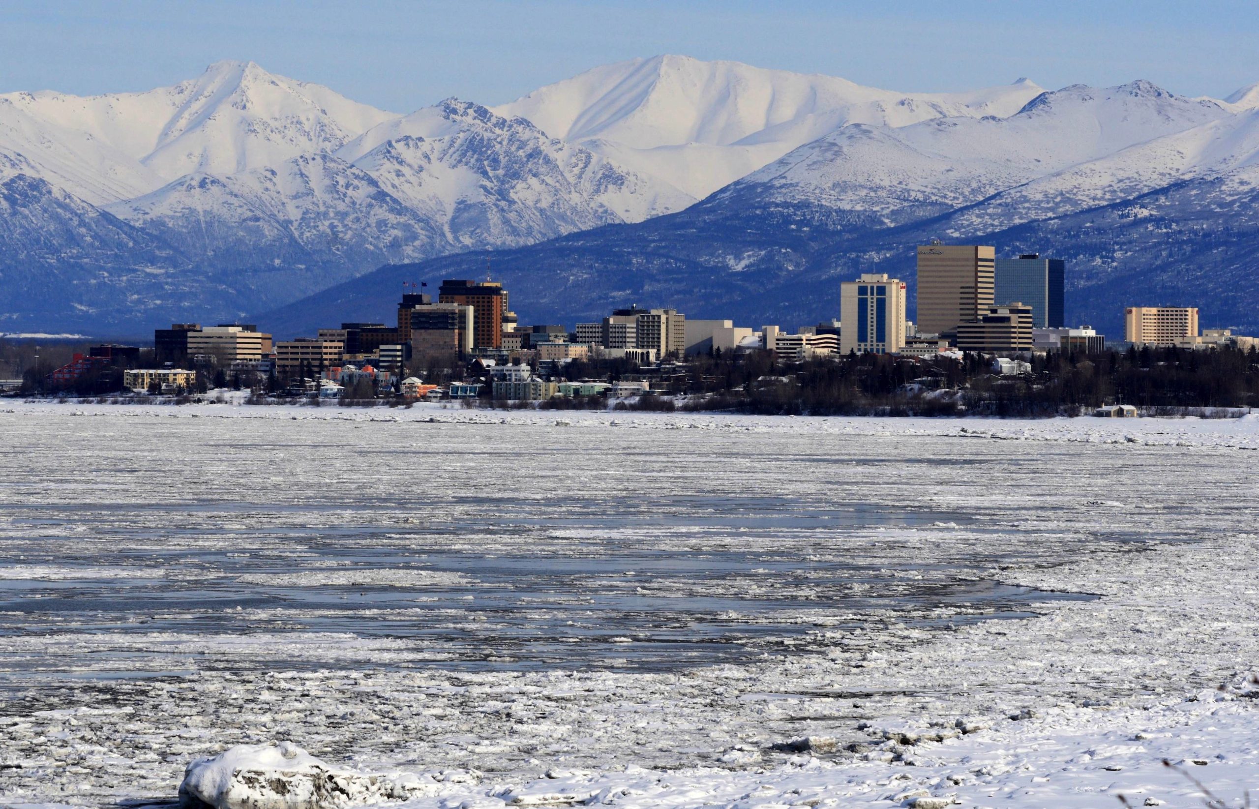 Best Vets Anchorage AK