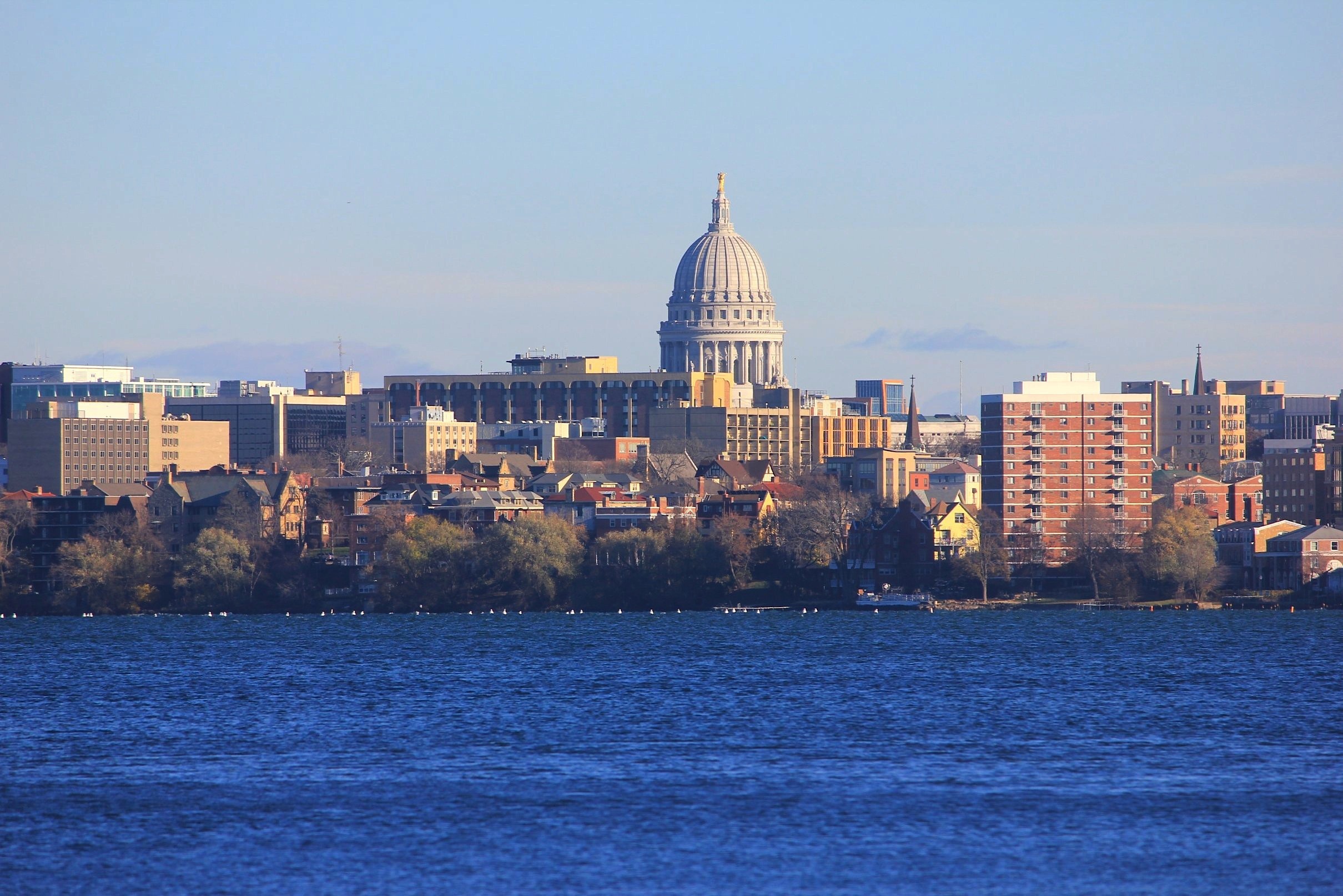 Veterinarian Madison WI