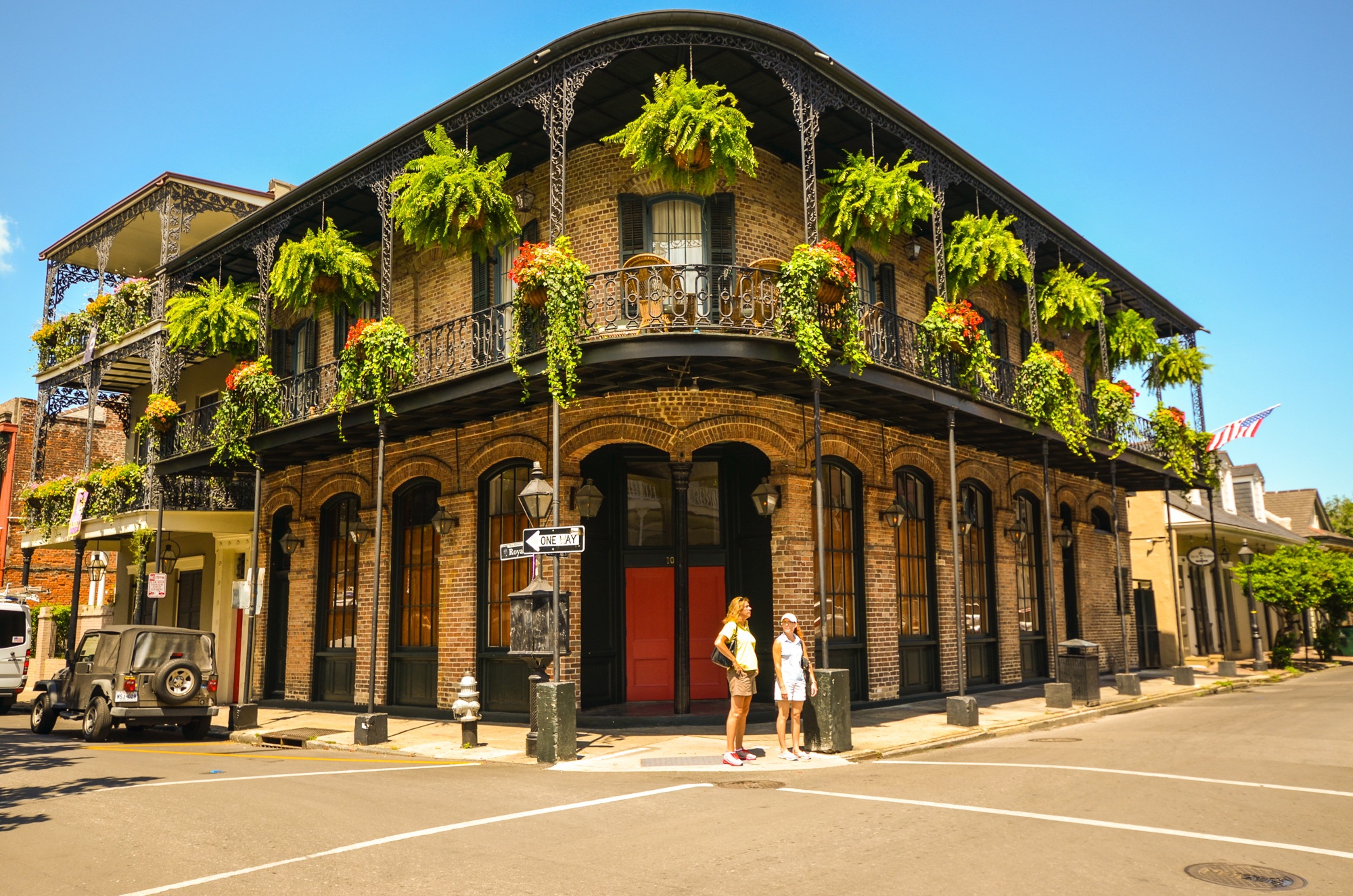 Online Vet Appointment New Orleans LA 