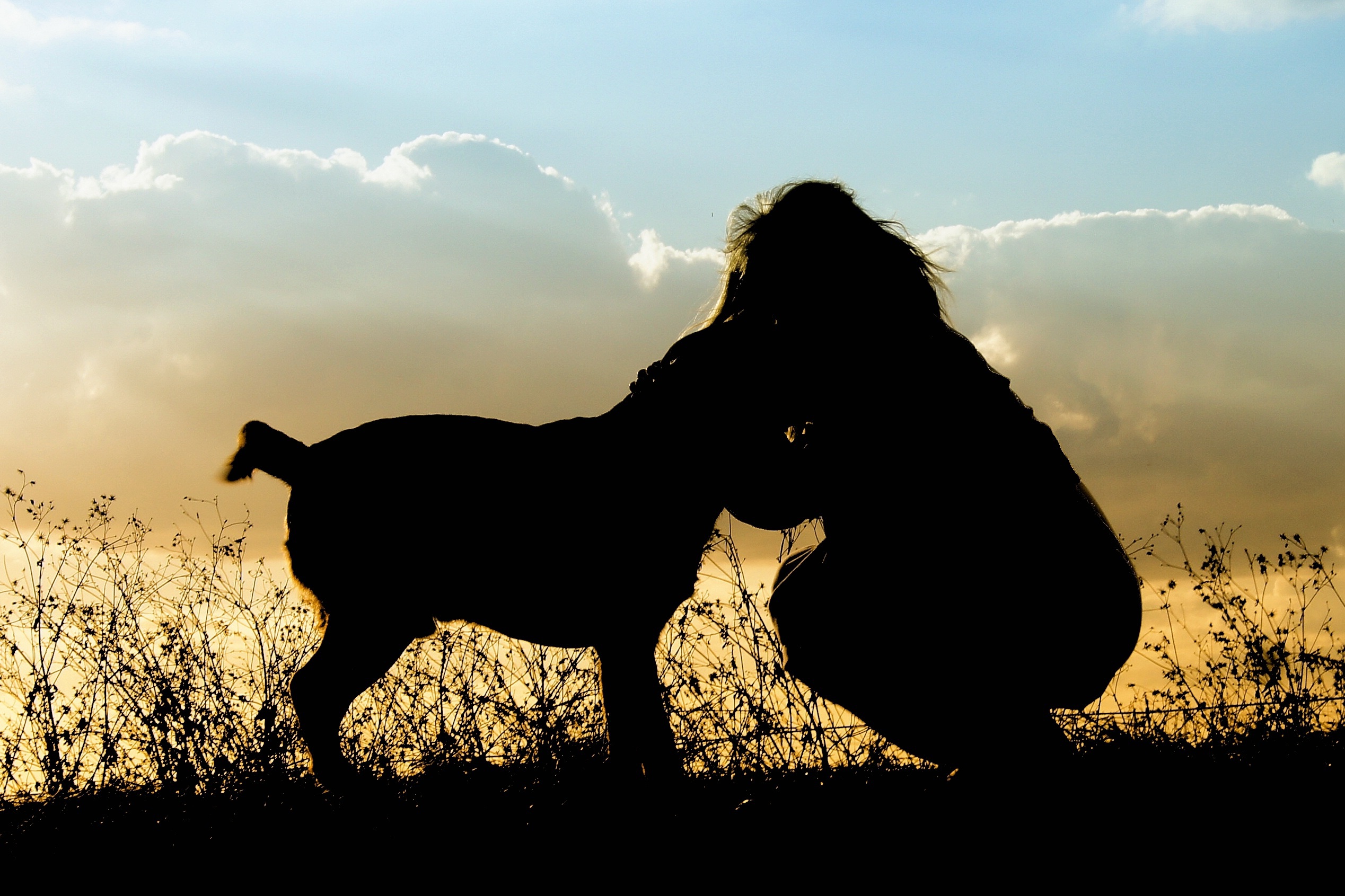 Online Vet Baton Rouge LA