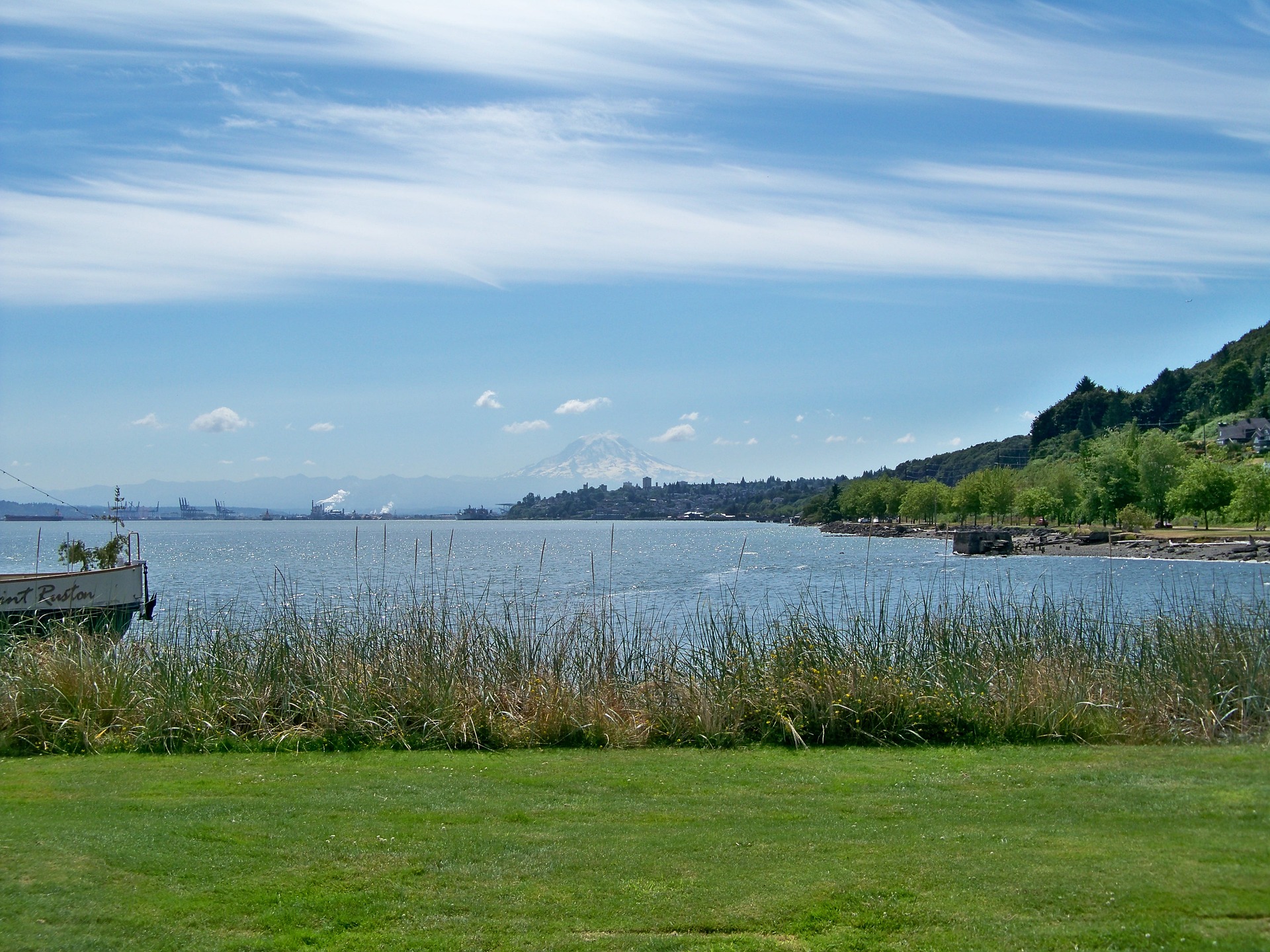 Best Vets Tacoma WA