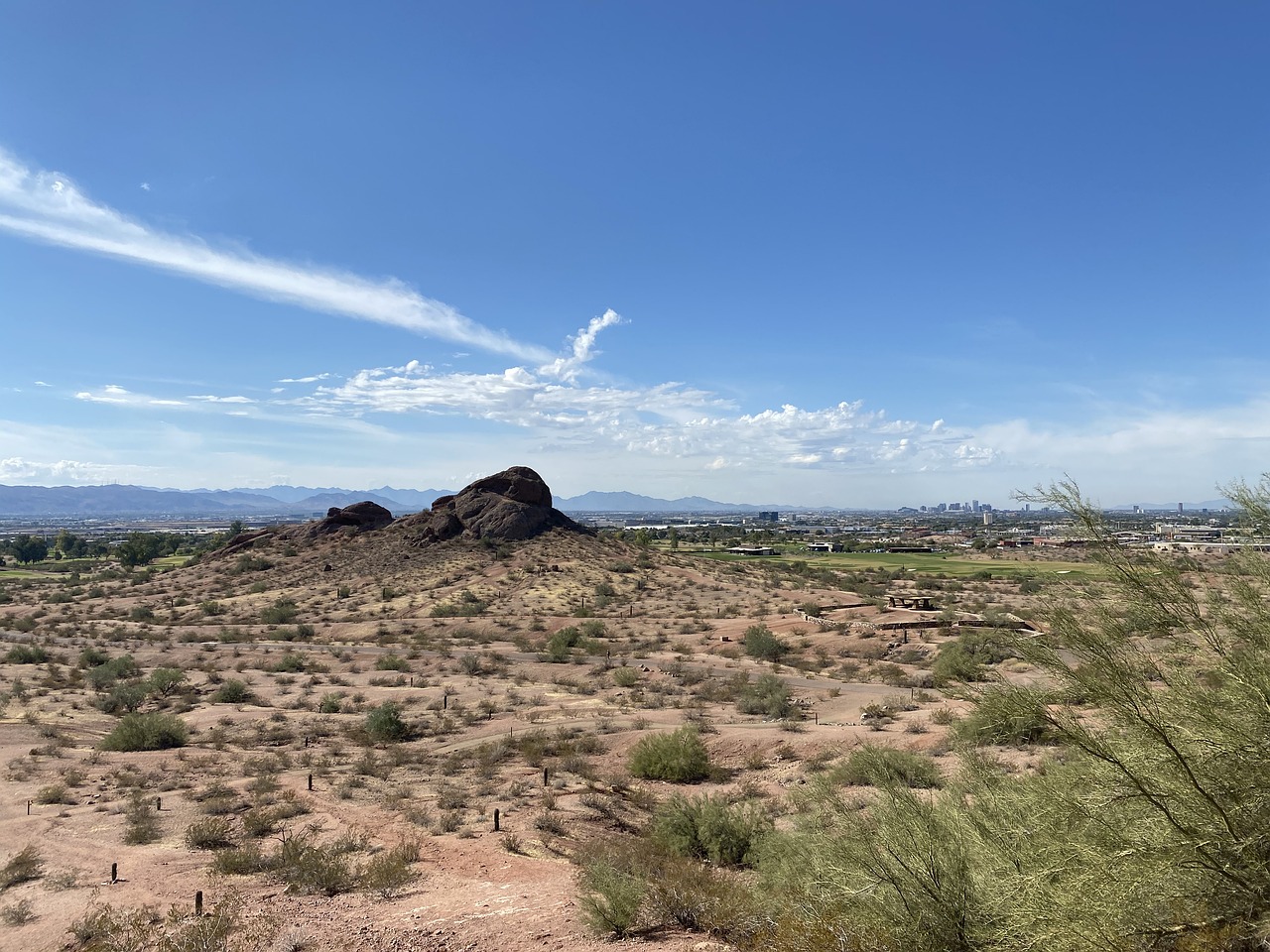 Best Vets Scottsdale AZ
