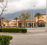 Online Vet Appointment Fontana CA