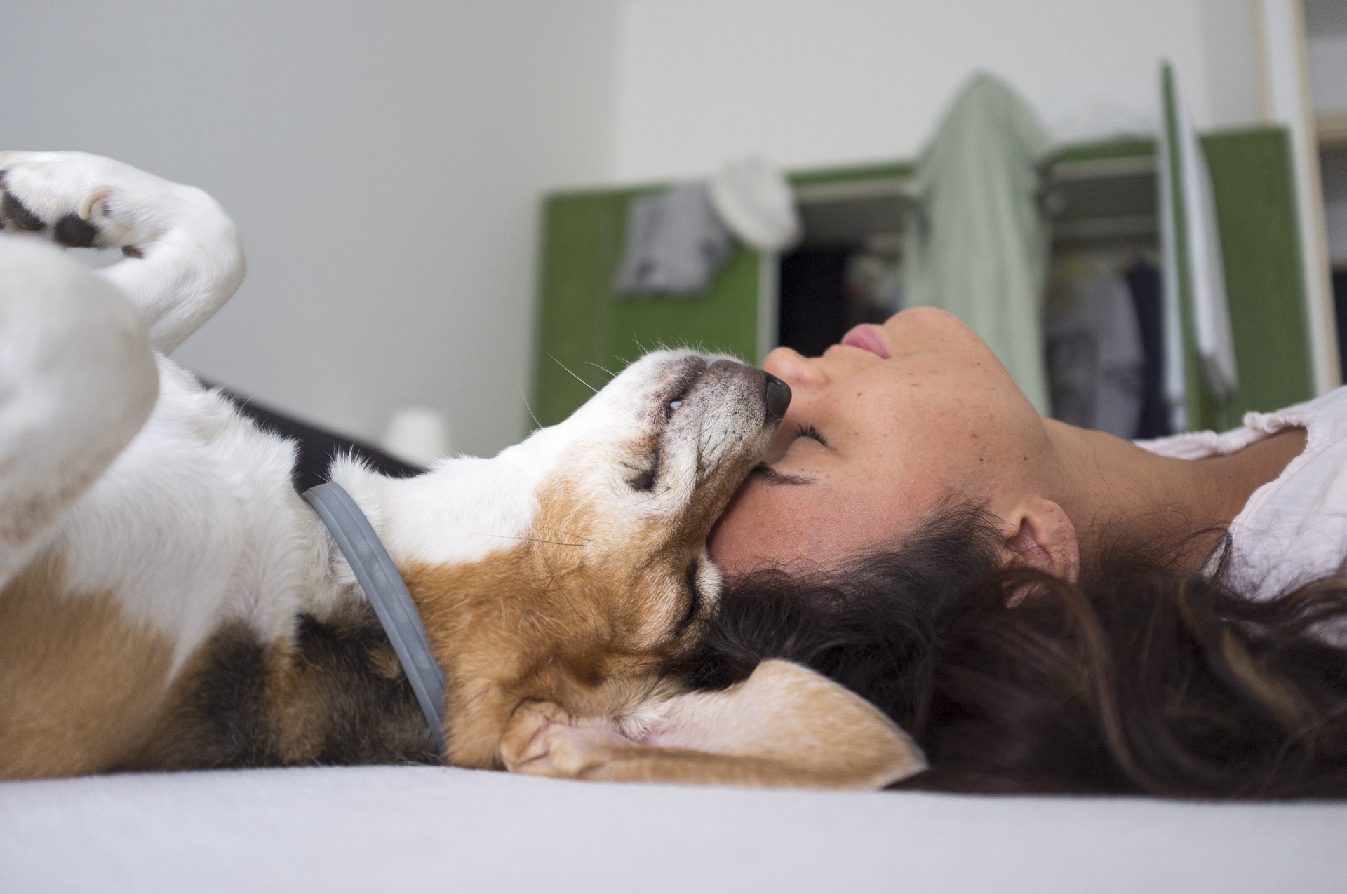 Vets Near Me for Dogs Grand Prairie TX