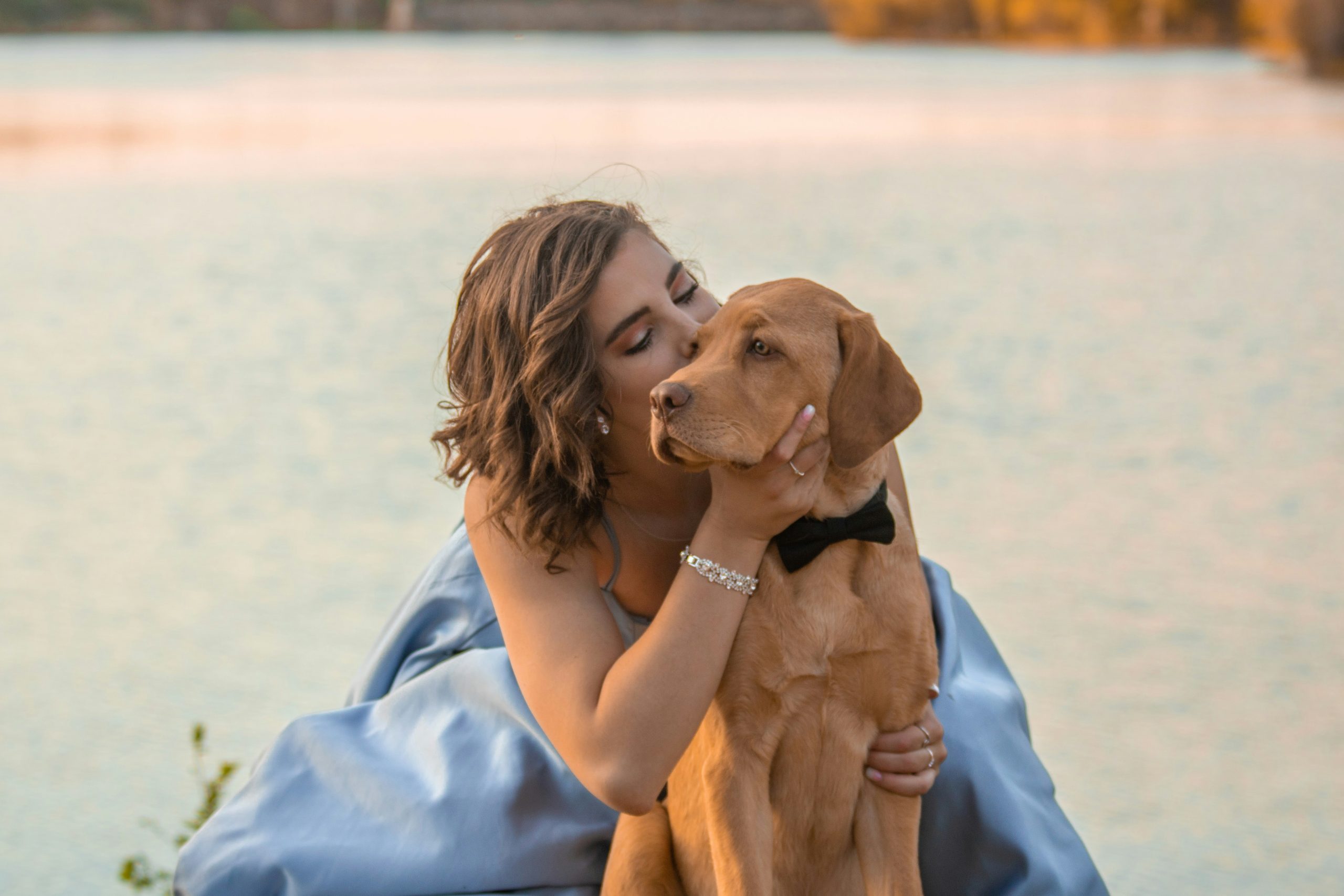 Online Vet in Tempe AZ