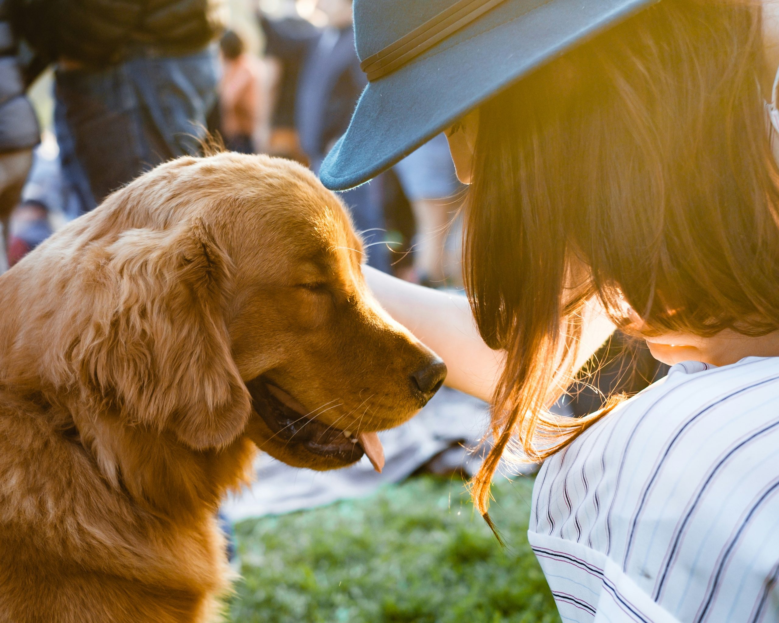 Online Vet in Charleston SC