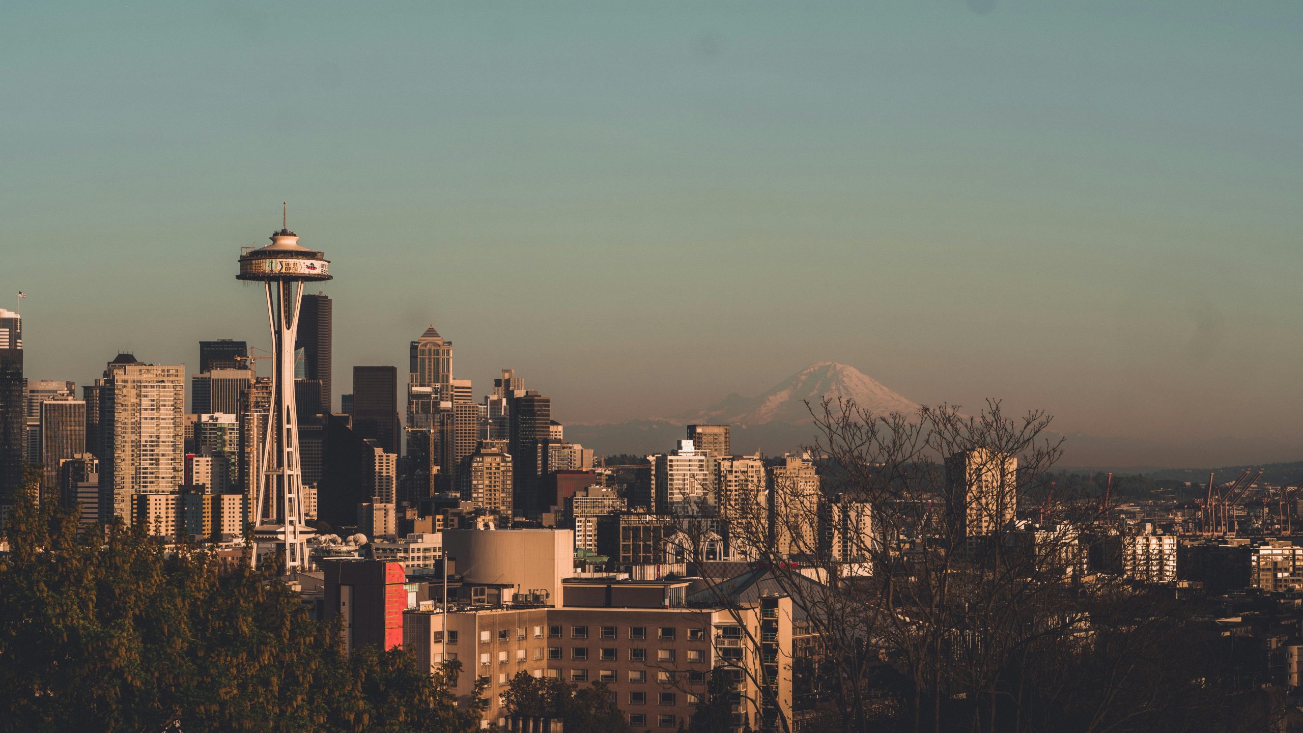 Online Vet in Bellevue WA