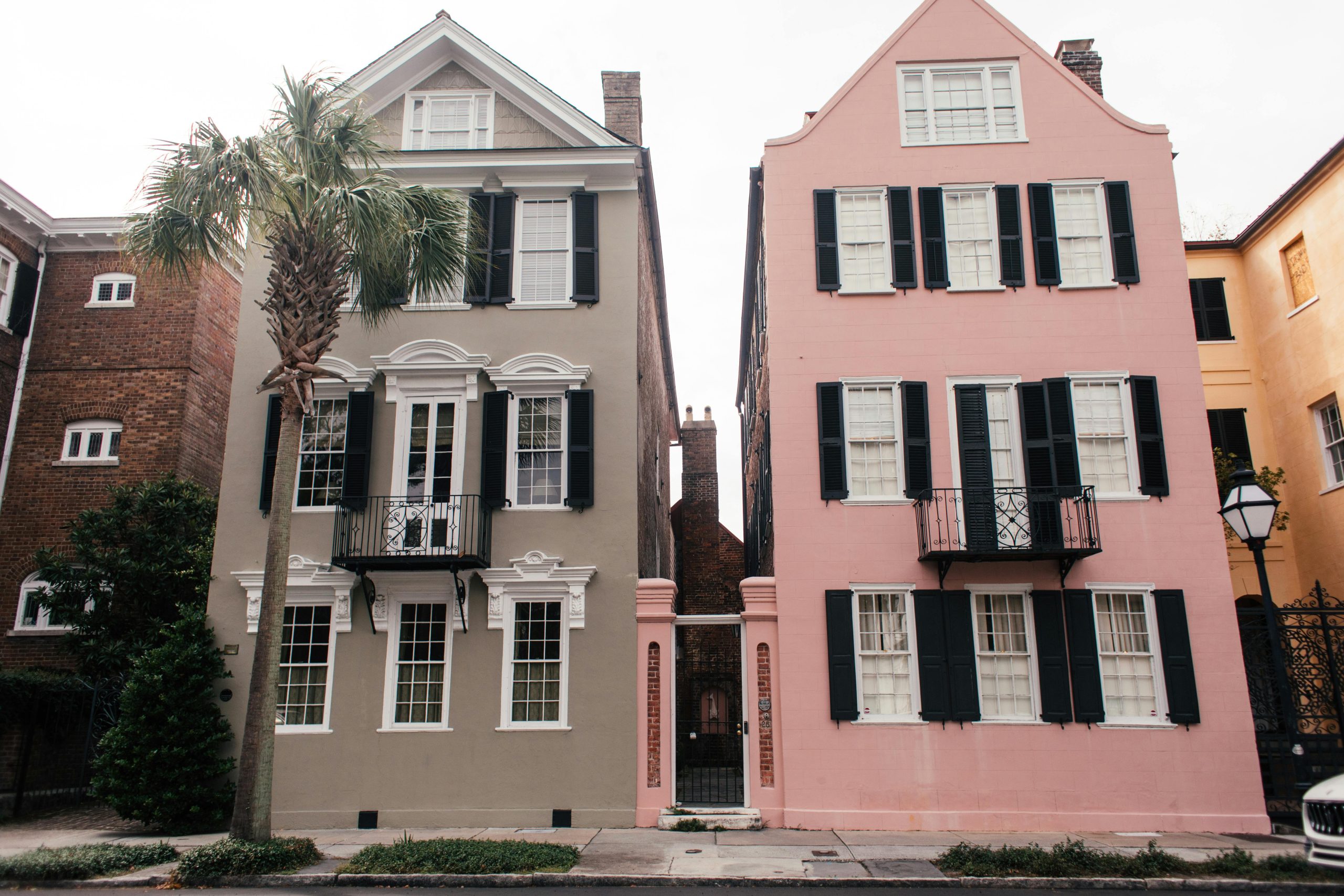 Online Vet in Charleston SC