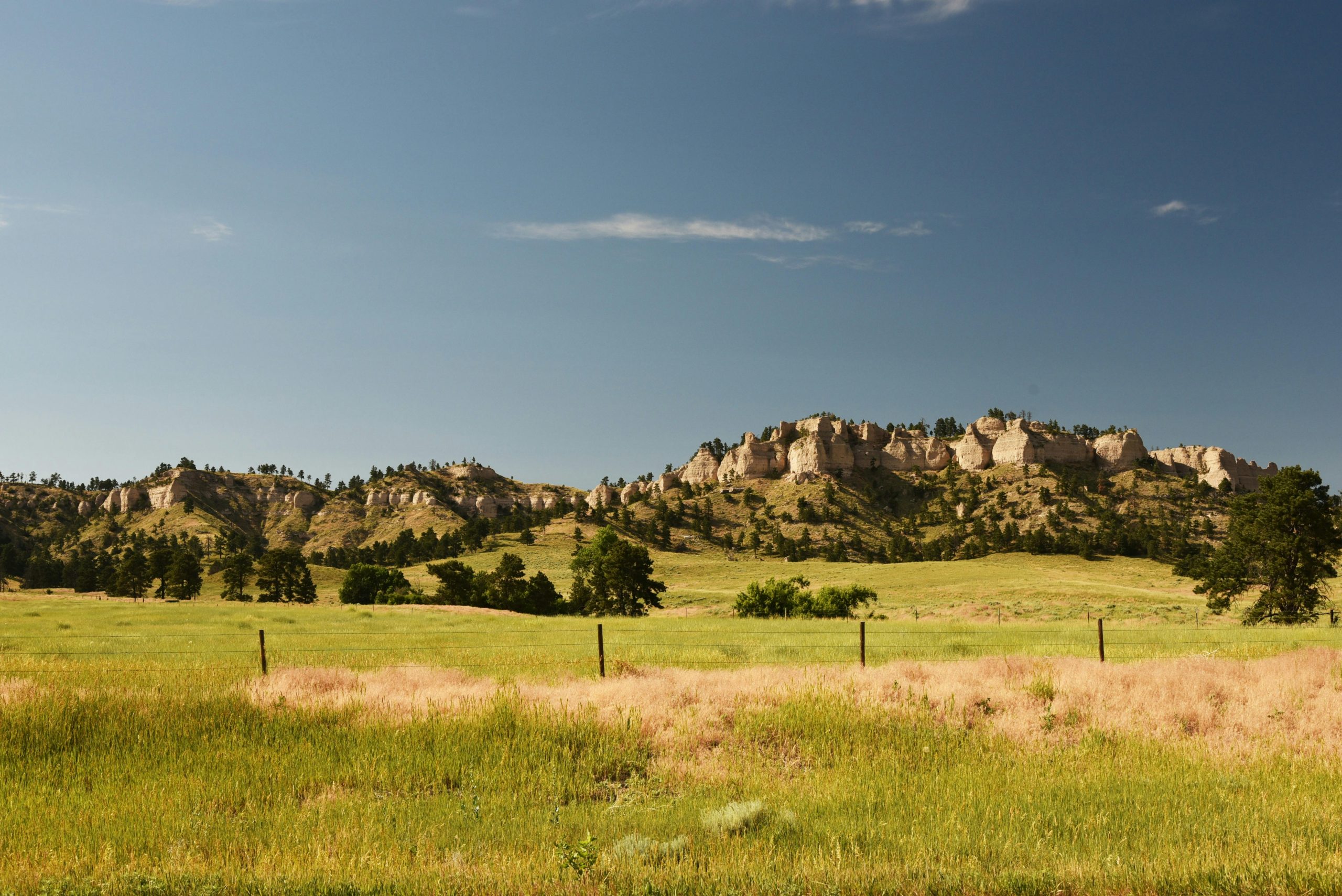 Online Vet Fargo ND
